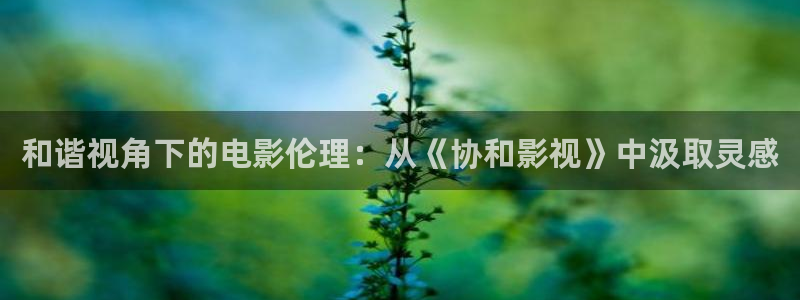 神马电影院手机高清在线观看：和谐视角下的电影伦理：从《协和影视》中汲取灵感