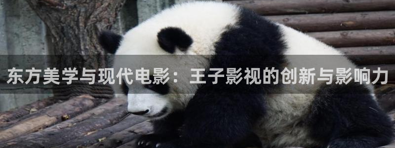 神马中文不卡电影